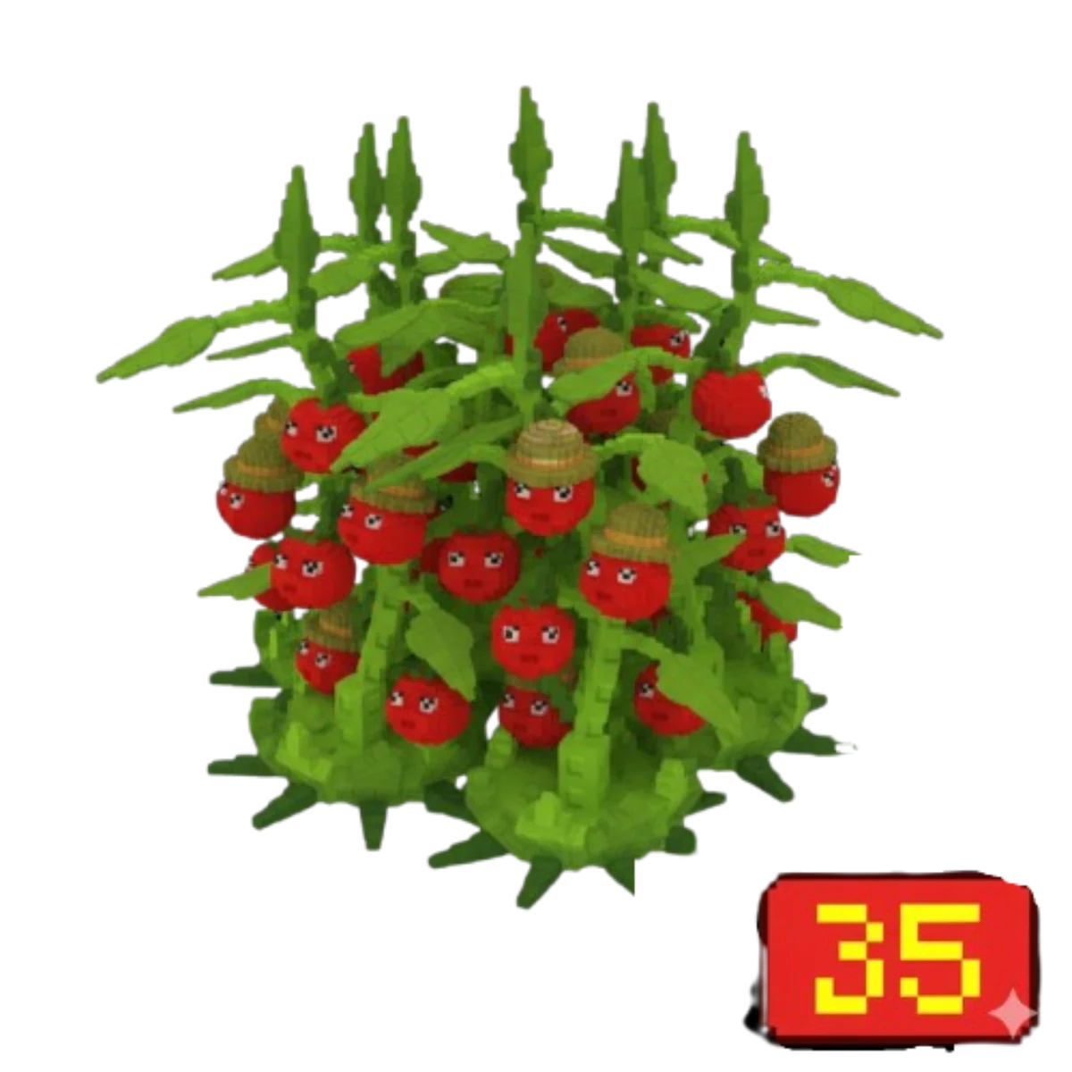 35X Tomatrio Bundle